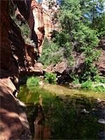 Cliffs and trees