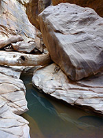 Boulder, log and pool