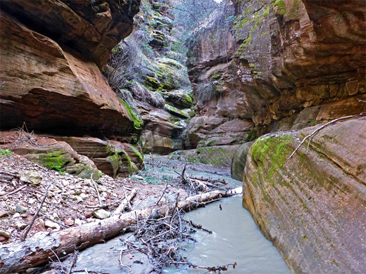 Logs in the streamway