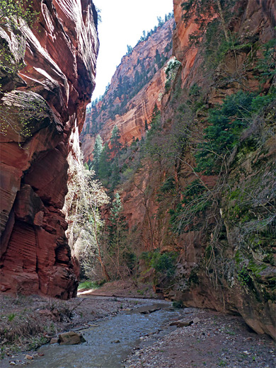 Tall, slightly overhanging cliffs