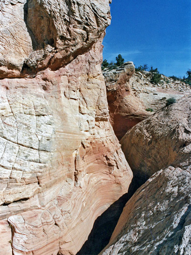 Cliffs above the slot in West Fork of Big Horn Canyon