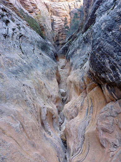Undulating canyon walls