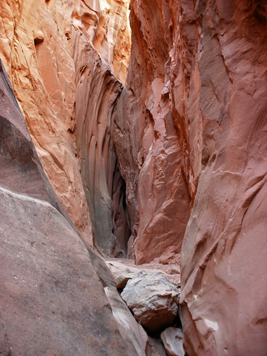 The Main and West Forks of Blue John Canyon, Utah