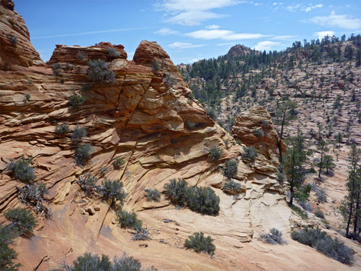 Eroded rocks in Water Canyon