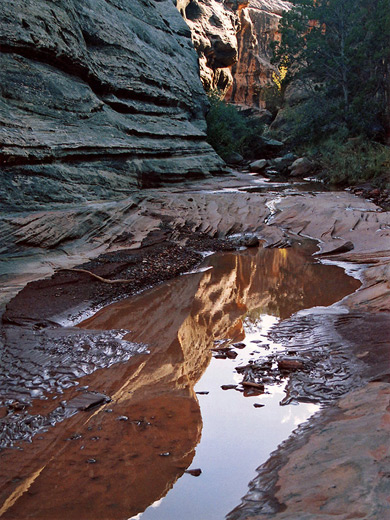 Reflections on a pool