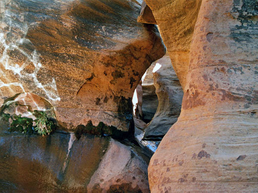 Curvy, narrow section of Cheesebox Canyon