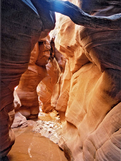 Watery passage