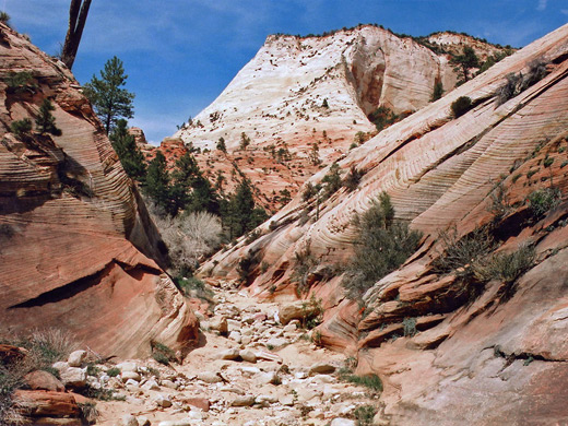 The upper canyon