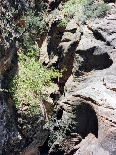 Above the Pine Creek slot canyon