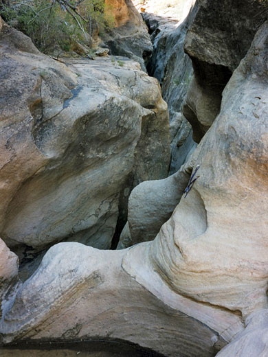 Start of the Pine Creek narrows