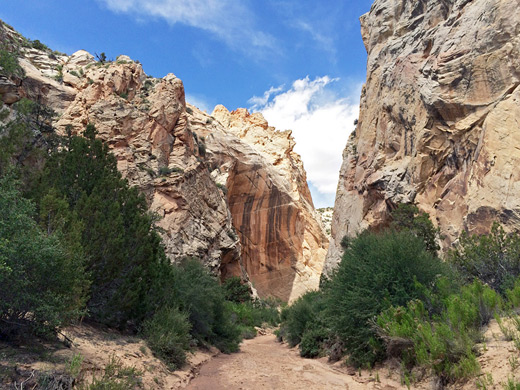 Lower end of the canyon