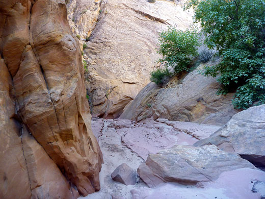 Bend in Cottonwood Canyon