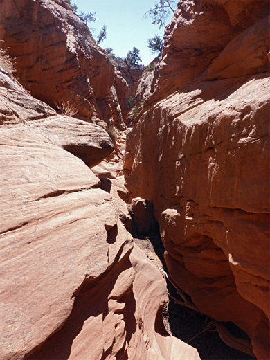 Potato Canyon narrows