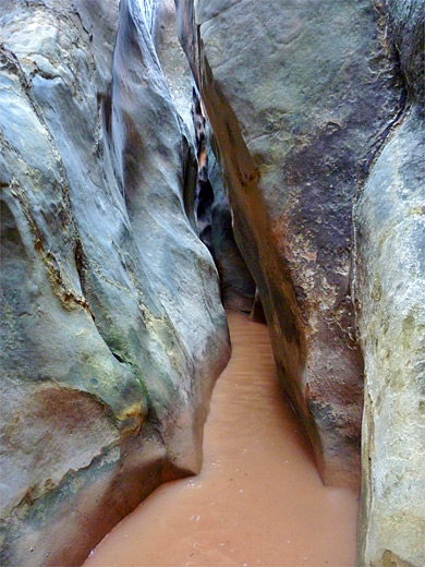 Muddy pool in the Escalante River Slot