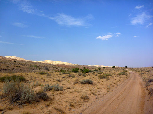 Road to the canyon