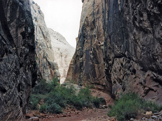 Dark passageway, Grand Wash