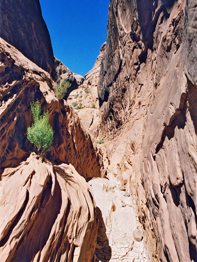 Below the narrows