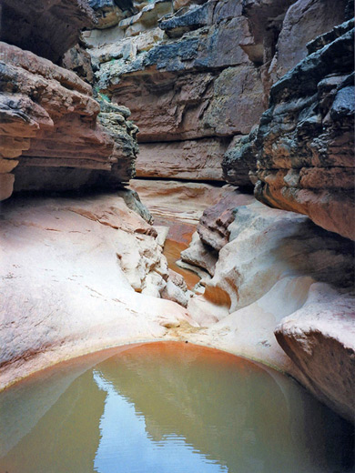 Pool and slot, Jackass Creek