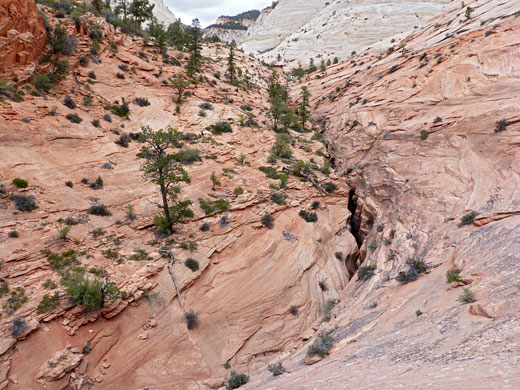 Reddish slopes above the uppermost of narrows in Keyhole Canyon