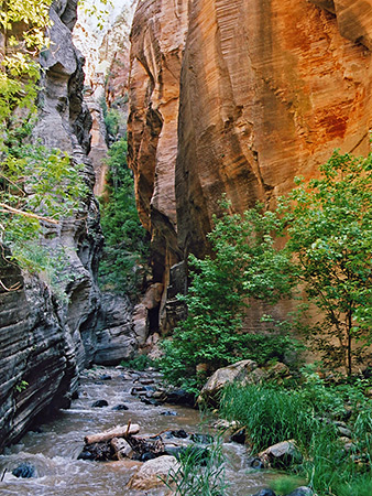 Kolob Creek