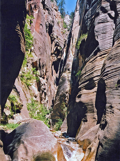 Sunny section of Kolob Creek