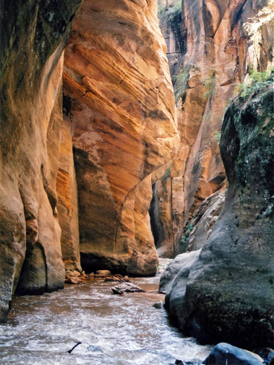 Fast-flowing waters in Kolob Creek