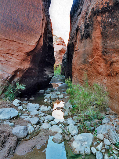 Shallow stream in Llewellyn Gulch