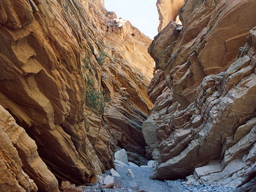 Canyon walls