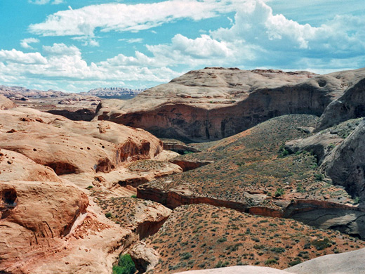 Junction of Trachyte Creek and Maidenwater Canyon