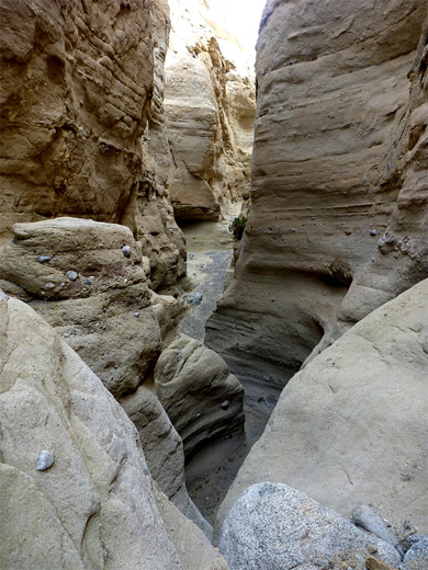 Above a dryfall in Palm Wash