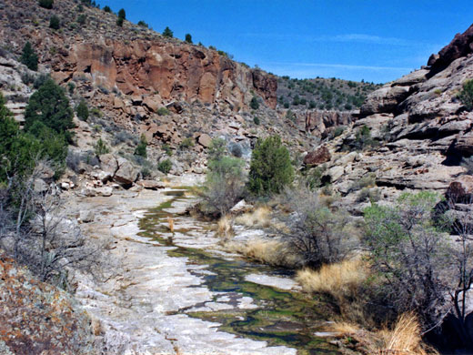 Shallow, algae-fillled stream