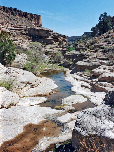 Shallow pools in the upper canyon