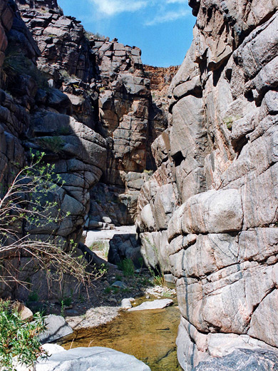 Narrows of Milkweed Canyon