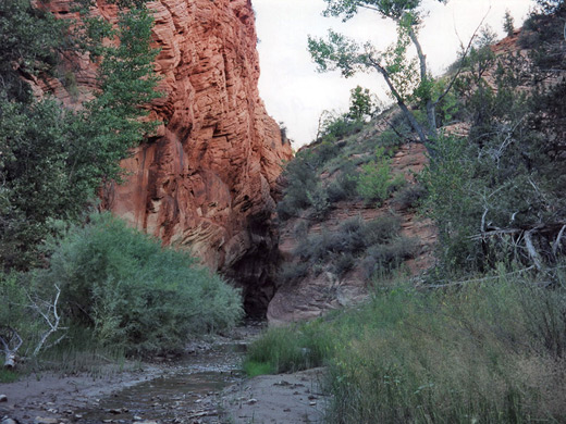 Stream near the junction with the Virgin River