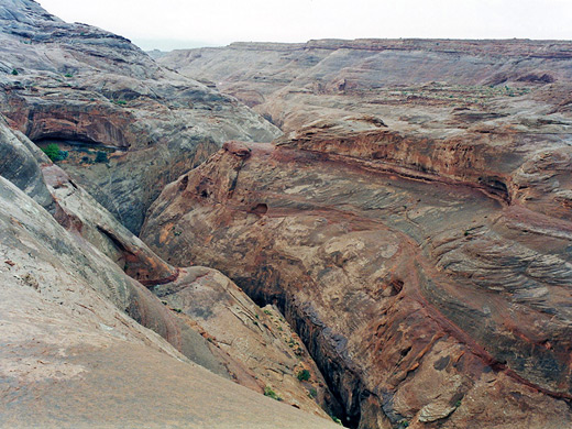 Middle branch of West Fork of Butler Canyon