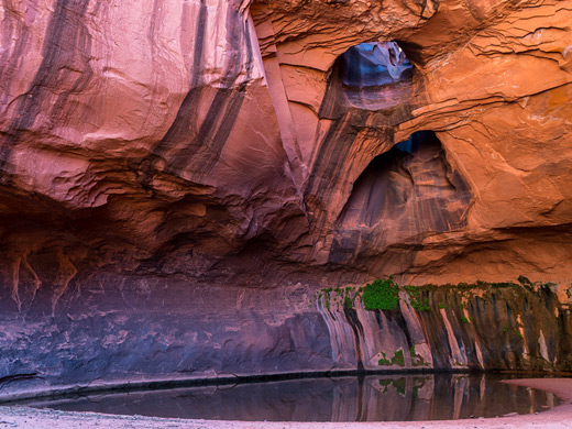 The Golden Cathedral in Neon Canyon