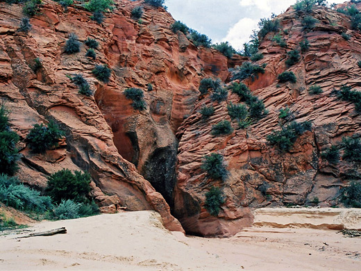 Upper fork of Sand Wash