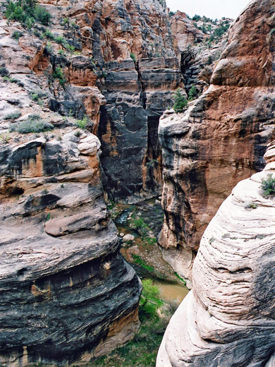 Above the river, Parunuweap Canyon