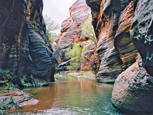 Tranquil pool