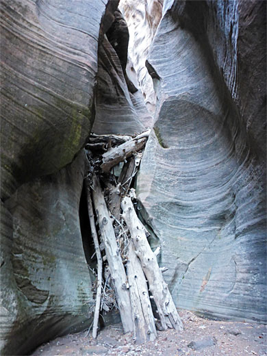 Logs in narrow place in the Pole Canyon slot