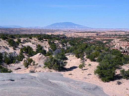 Navajo Mountain