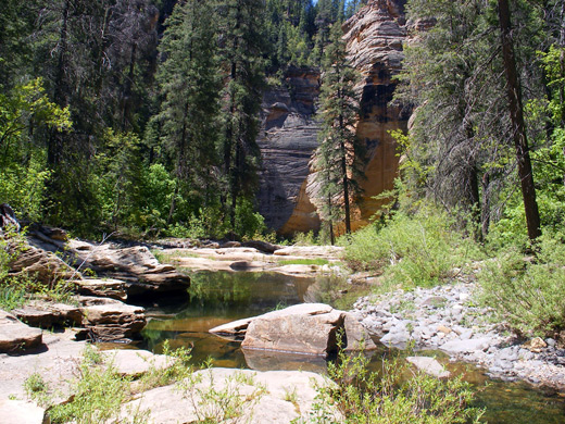 Open, sunny part of the canyon