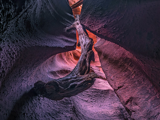 Spooky Gulch