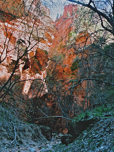 photograph