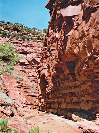 Cliff in upper Starlight Canyon