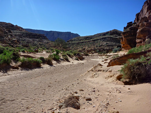Ravine near the trailhead