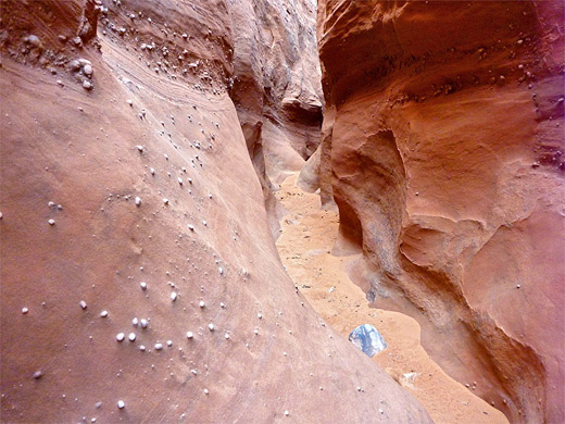 Knobbly rocks in a shallow section of the narrows