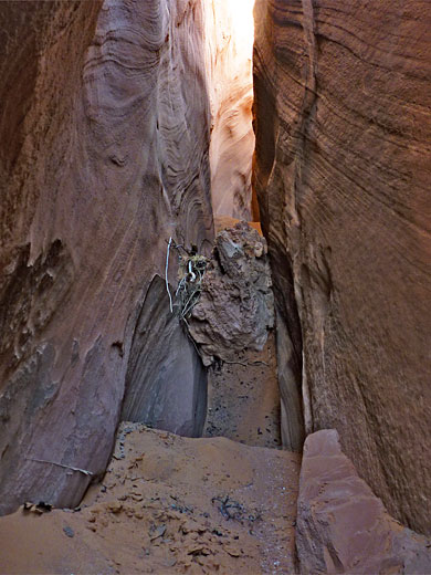 Sandy floor, North Trachyte Point Canyon