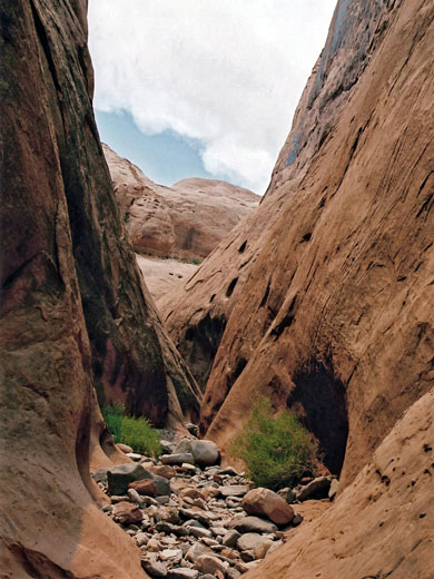 An open section of Maidenwater Canyon