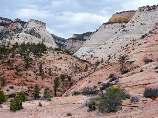 The upper canyon